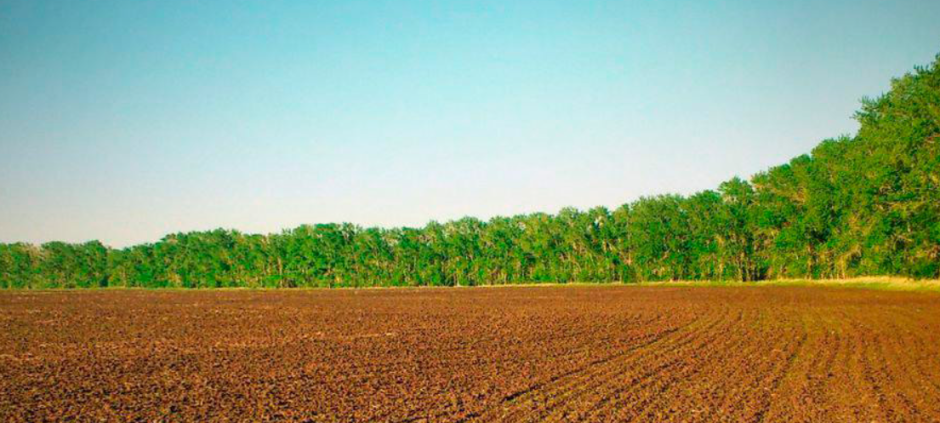 пашня лес.png