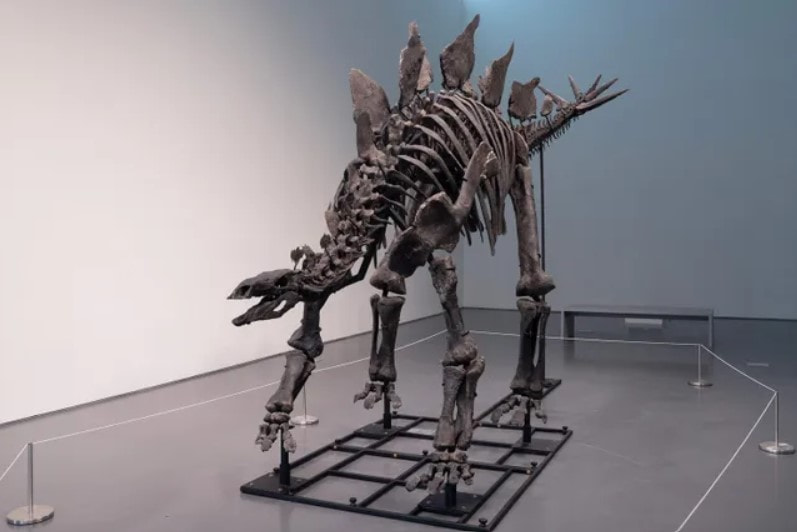 Динозавра продали.jpg