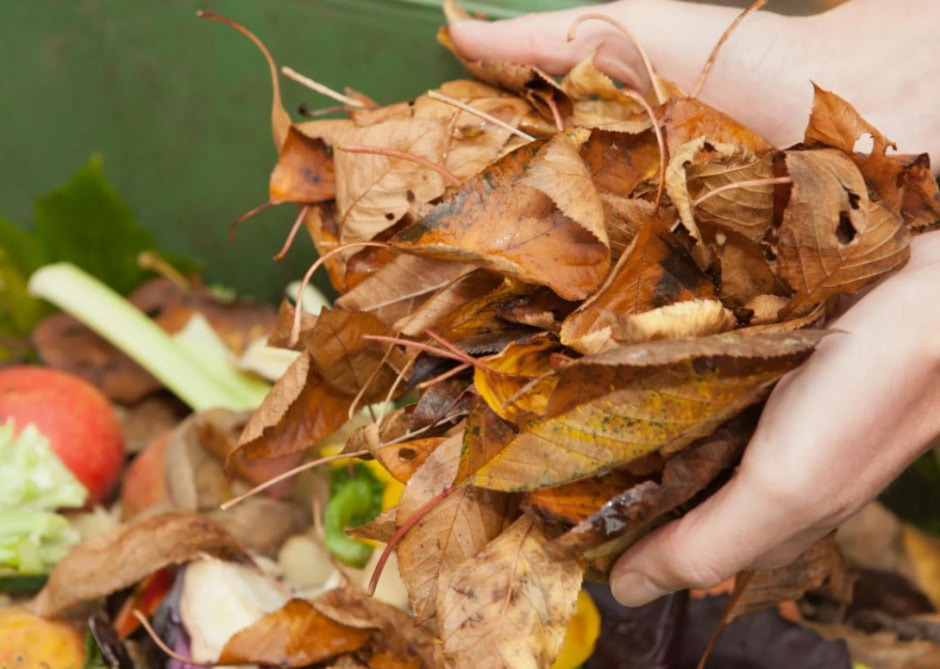 listva3.jpg listva3.jpg