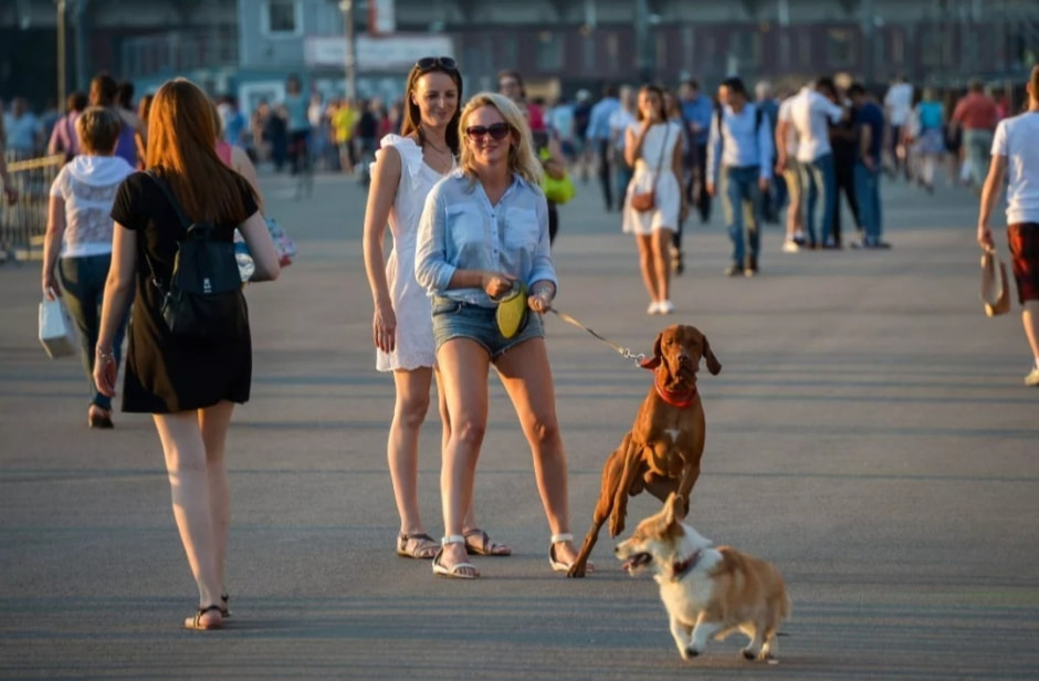 Screenshot_20230718-.jpg Screenshot_20230718-.jpg