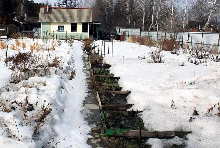 Покупаем дачу 2.jpg