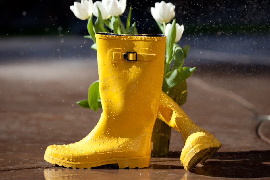 Резиновые сапоги, дождь и цветы.png