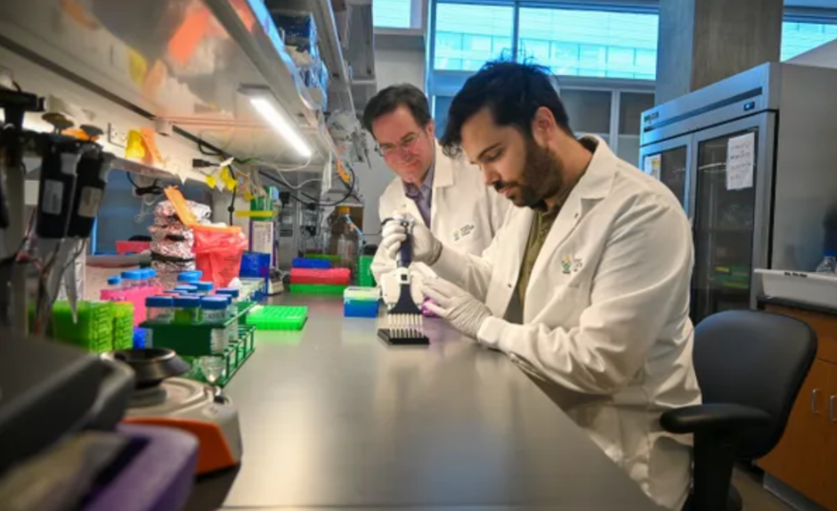 Авторы исследования Джаред Фишер и Хосе Монтойя Мира Авторы исследования Джаред Фишер и Хосе Монтойя Мира