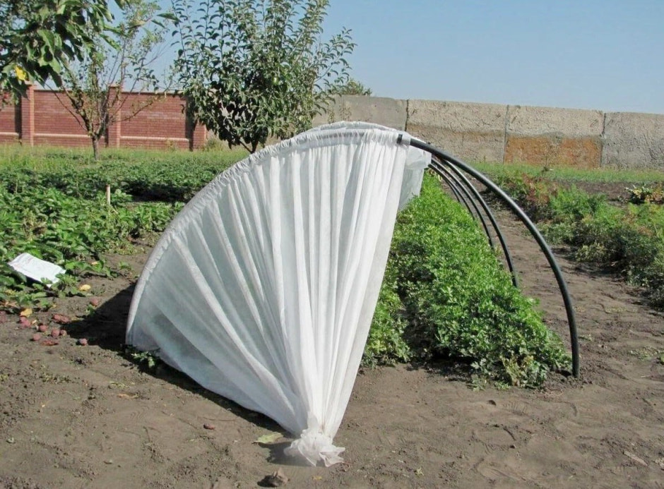 Теплица и парник к дачному сезону 1.jpg