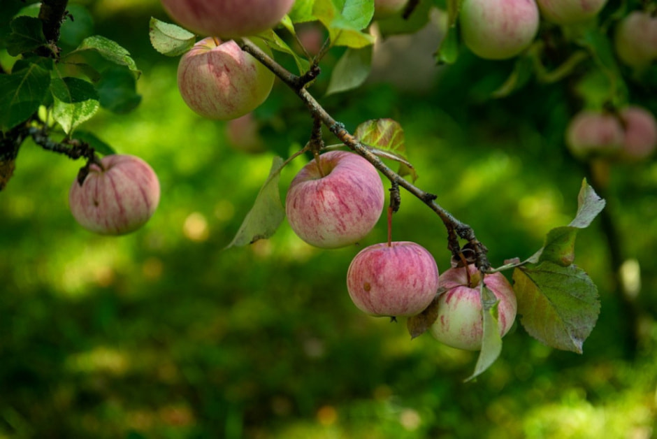 Художник Владимир Цвирко и его путешествия по Беларуси 3.jpg