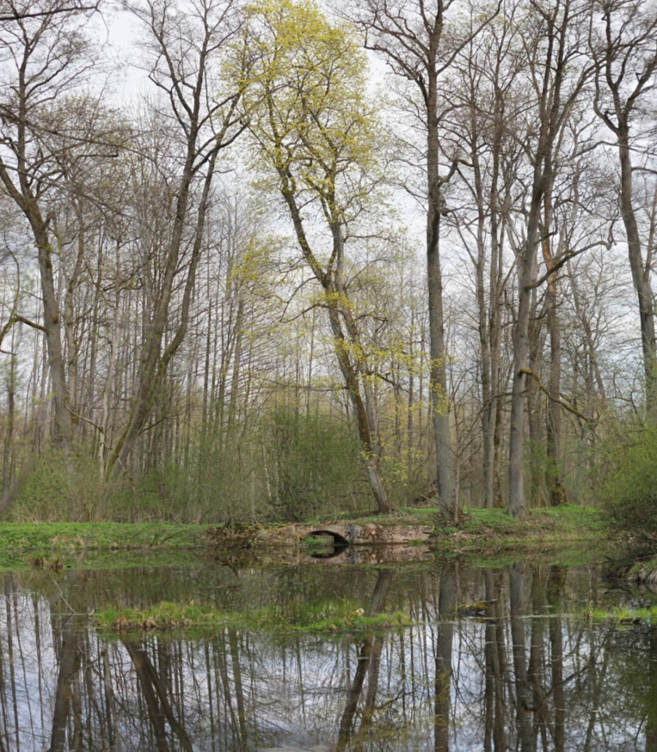 Сядзіба Навіцкіх у Савейках 16.jpg