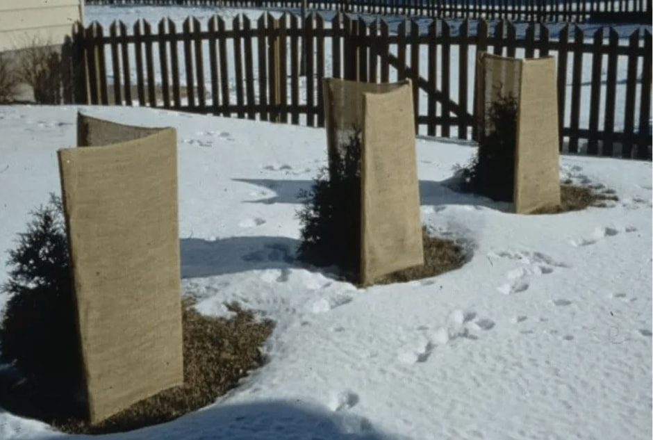 photo_2026-01-26_09-02-21 (2).jpg