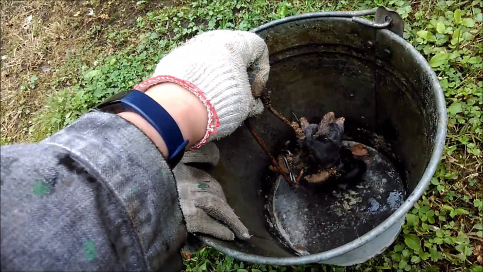 Вода против кротов2.jpg