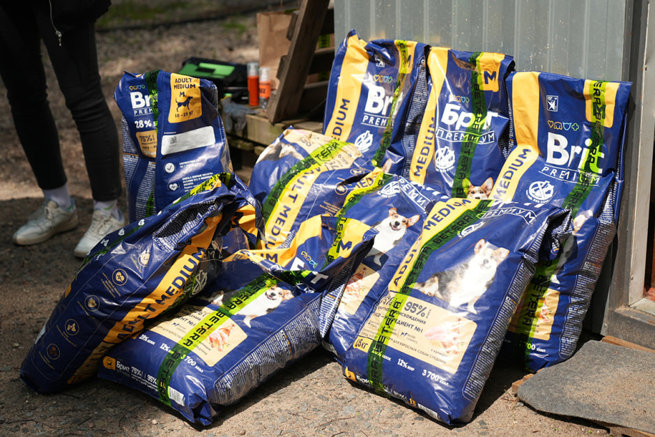 Betera передала корм для приюта Dalai Lapa