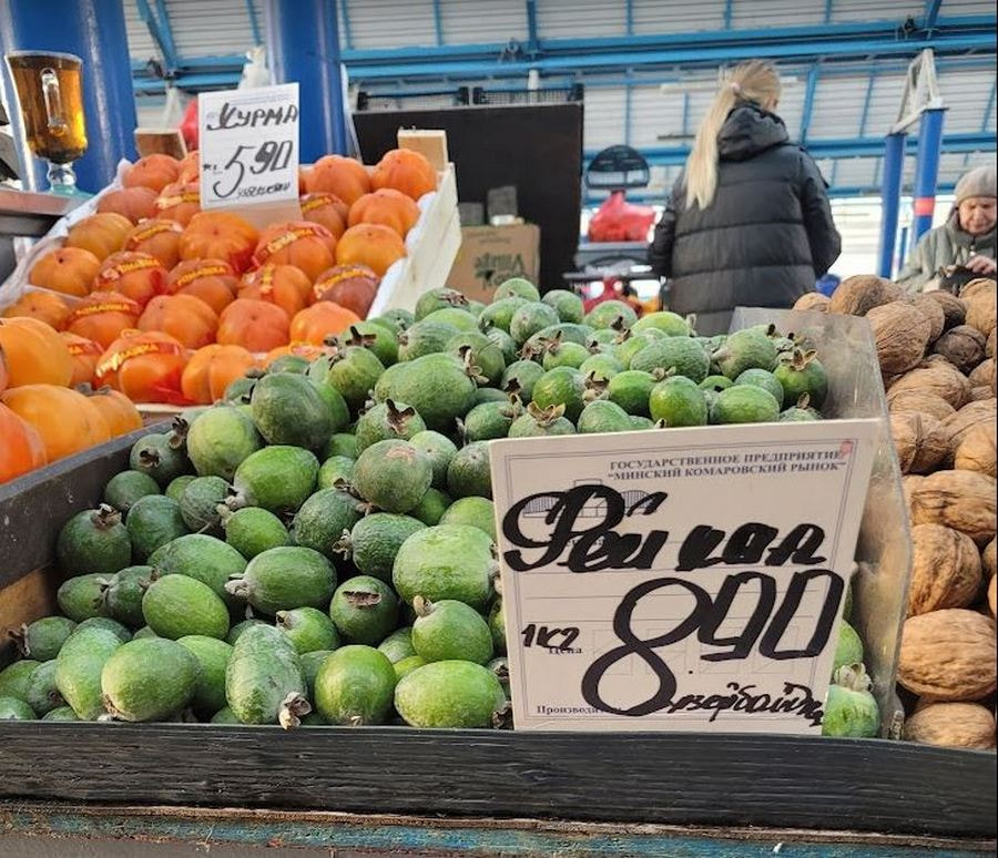 комаровка новая.JPG