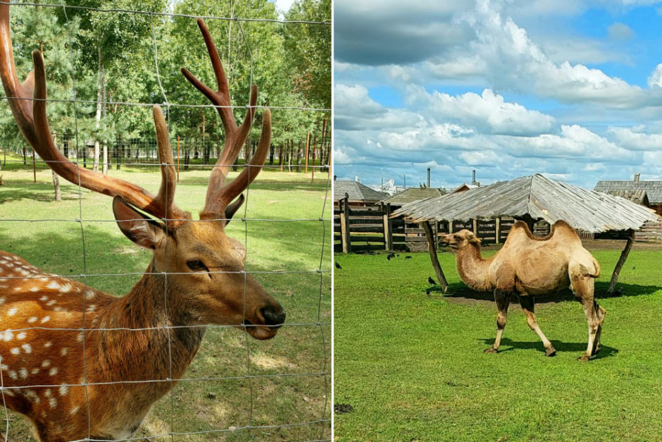 Барановичи гаид 4.jpg