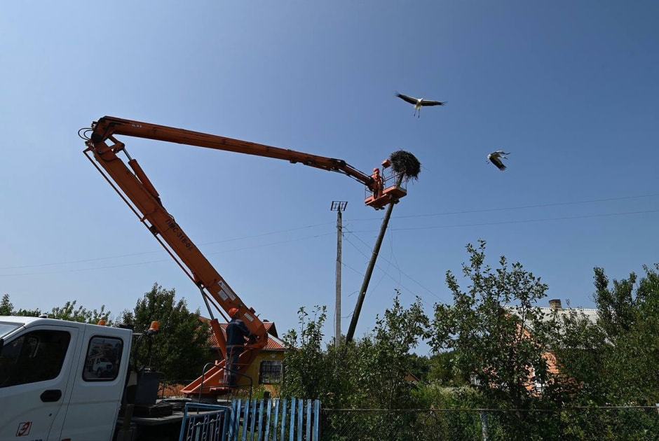 Аисты на Полесье2.jpg Аисты на Полесье2.jpg