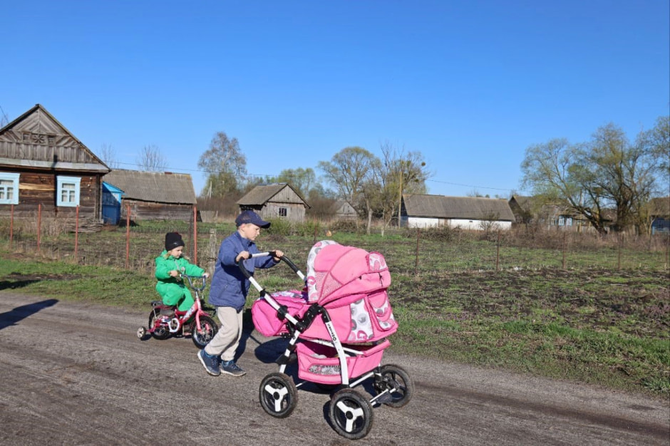 Аисты в деревне Малешев 26.jpg