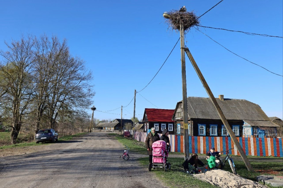 Аисты в деревне Малешев 32.jpg