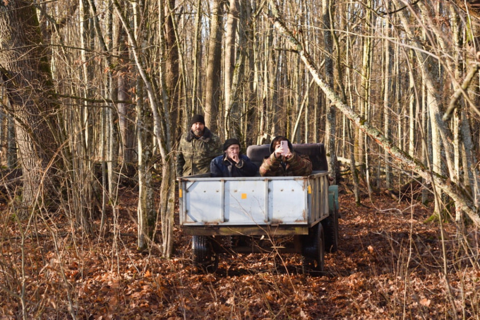 Как бортник спасает на Полесье черных пчел 24.jpg
