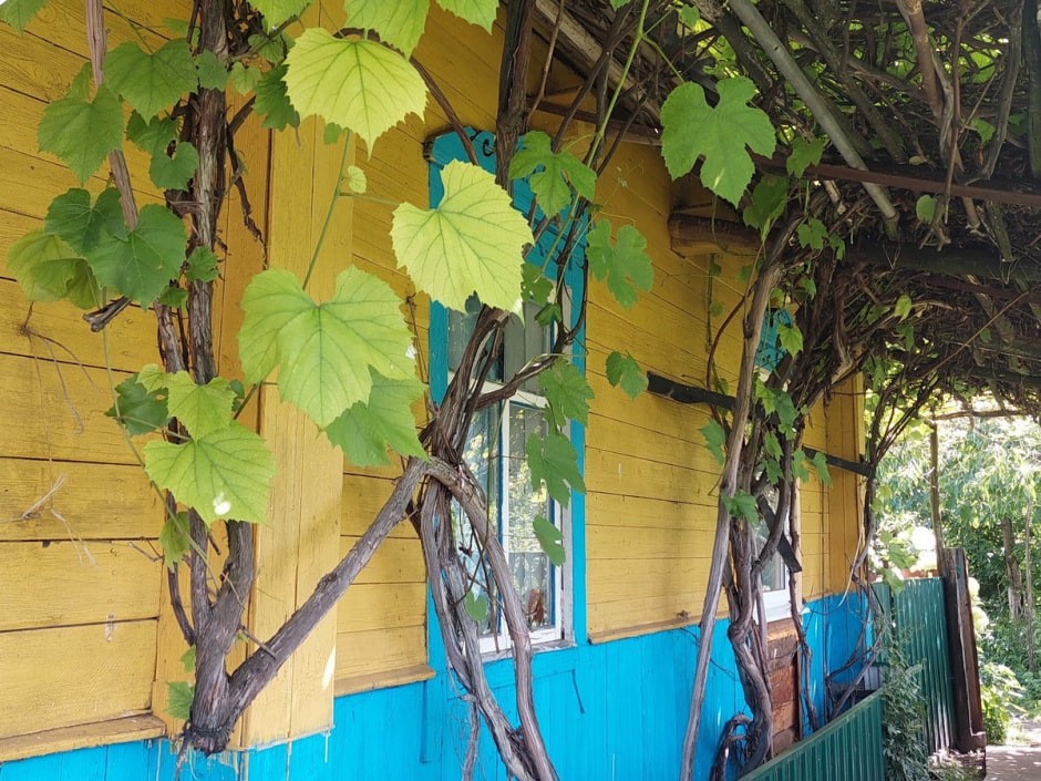 Мастерица из Рухово 2.jpg