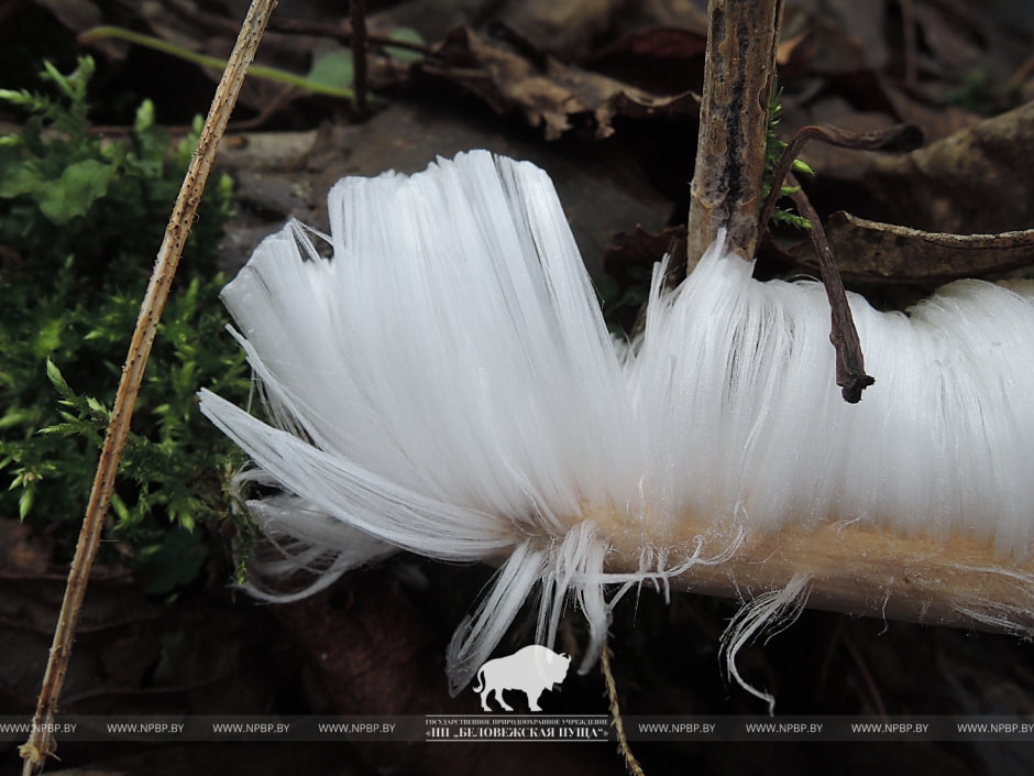 Ледяные волосы 3.jpg