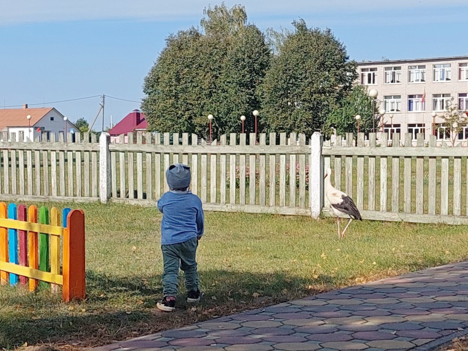 Аист Буся-2 5.jpg