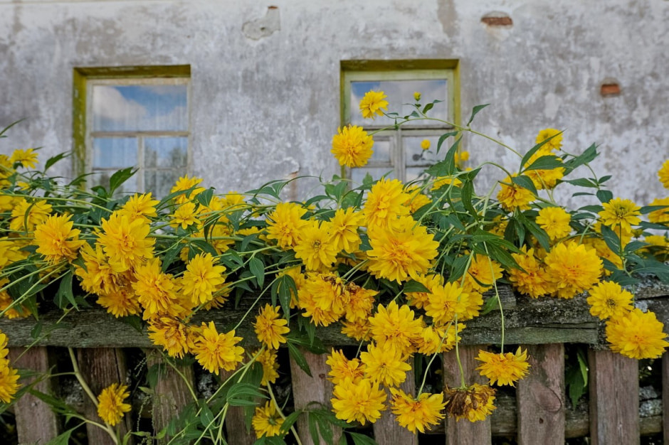 Деревня Глядовичи 9.jpg