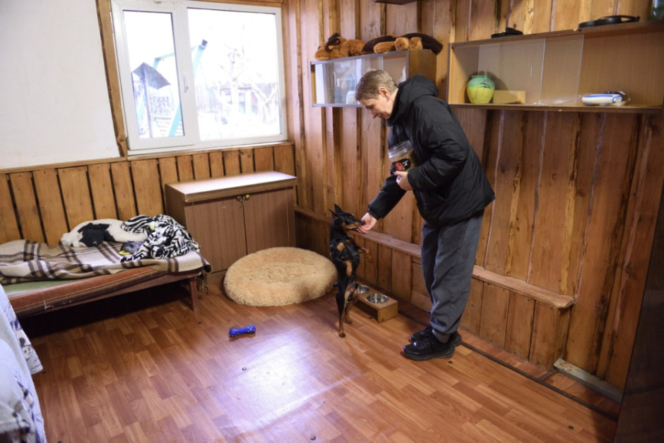 Зоогостиница 4 лапы 7.jpg