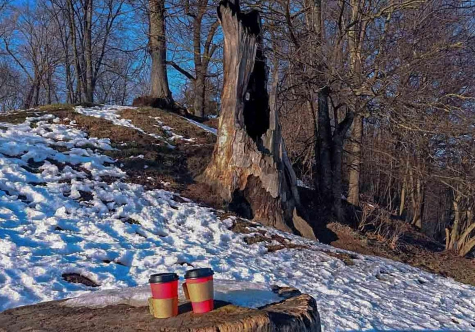 19-Остатки обручального дуба в Лошицком парке.jpg