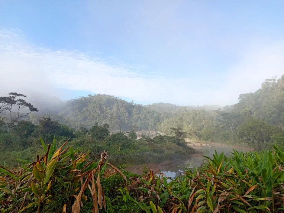 Мадагаскар 2.jpg