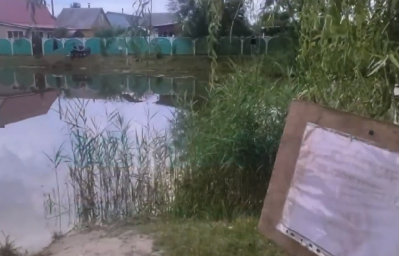 Под Гомелем утонул 16-летний подросток — братья-близнецы гостили у бабушки (3).png