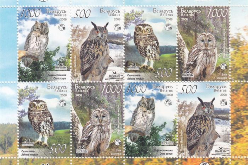 птицы беларуси-совы (1).png