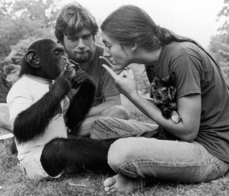 люди и обезьяна