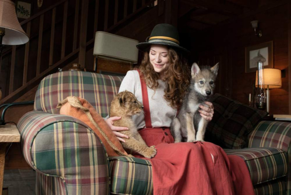 Волк и Лев .jpeg Волк и Лев .jpeg