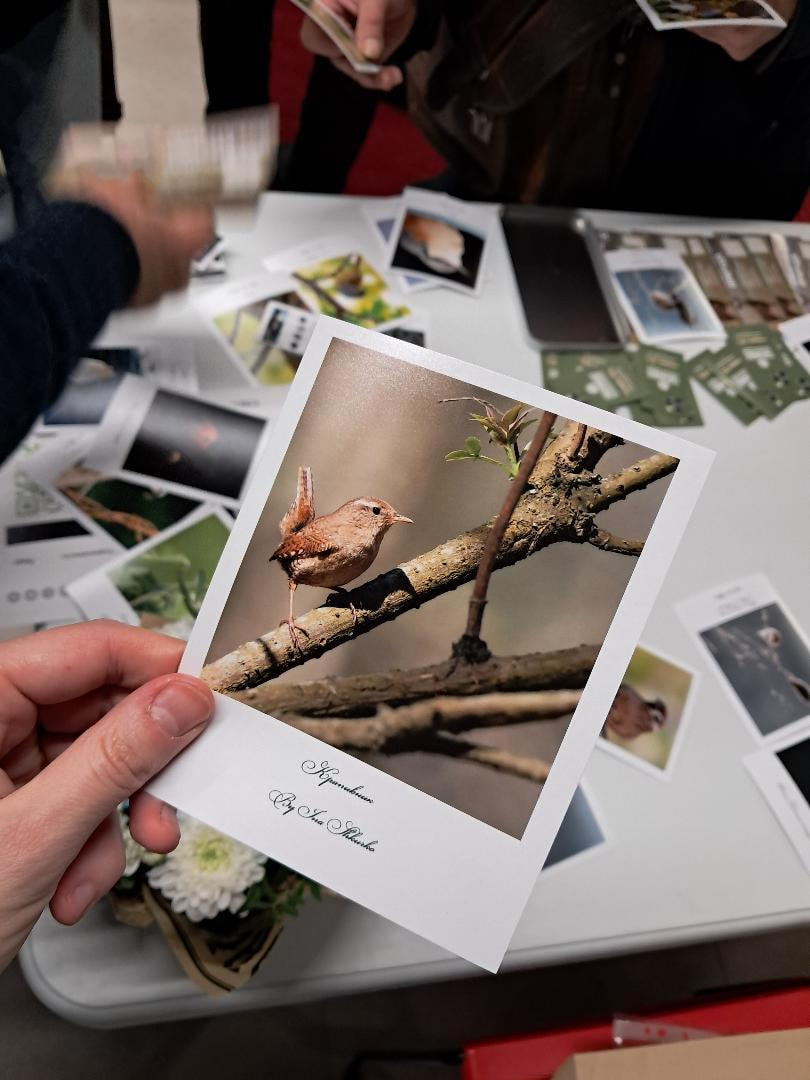 авторская фотооткрытка