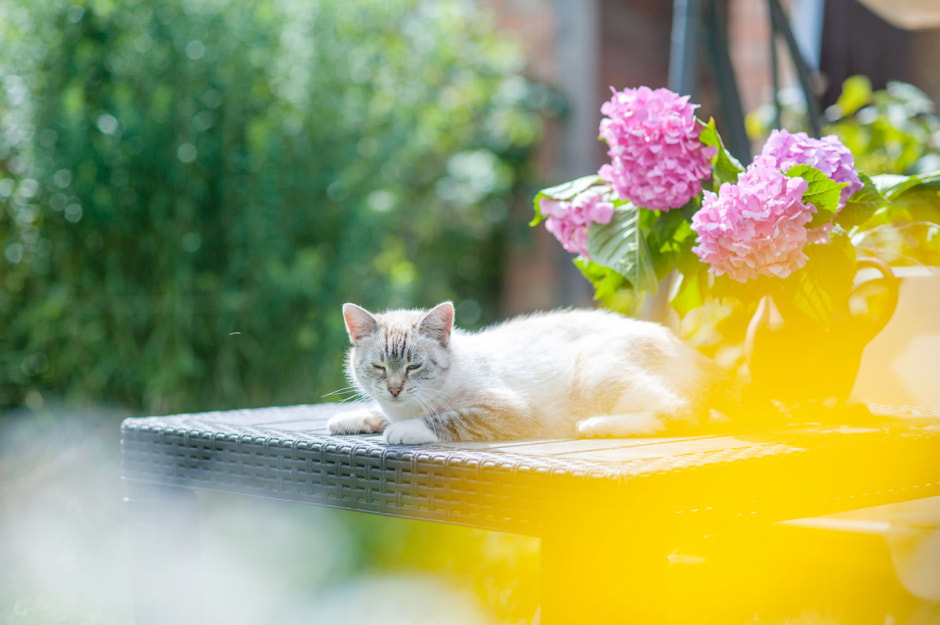 Какую погоду ждать белорусам на неделе с 12 по 18 августа, рассказал синоптик Рябов.jpg