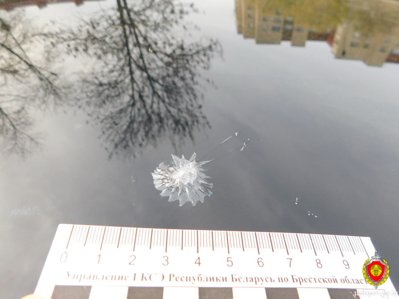 Подростки попали камнем в дорогую машину