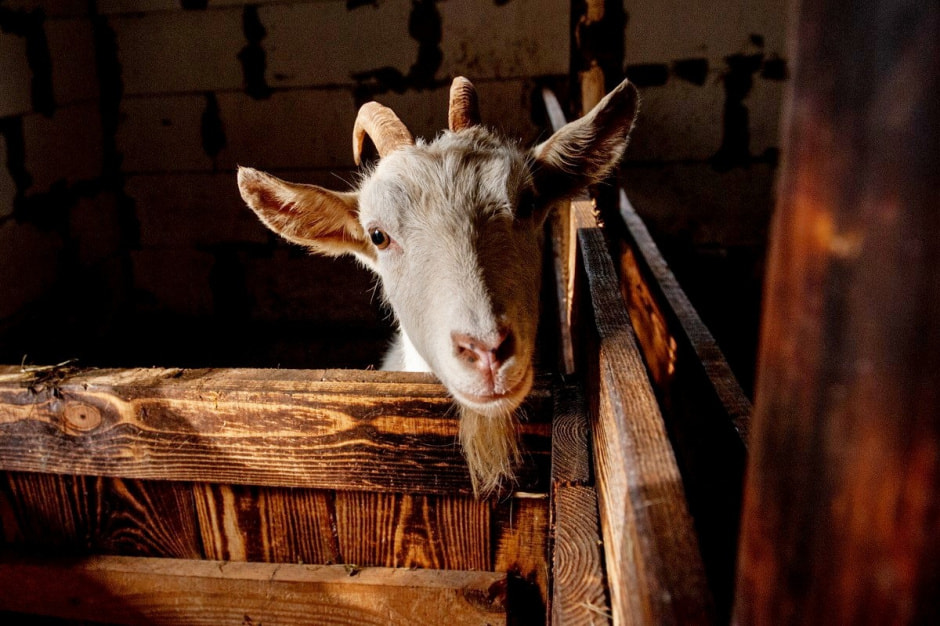 Хутор Окушково 10.jpg Хутор Окушково 10.jpg