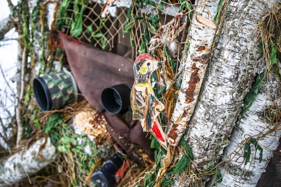 дятел дятел.jpg