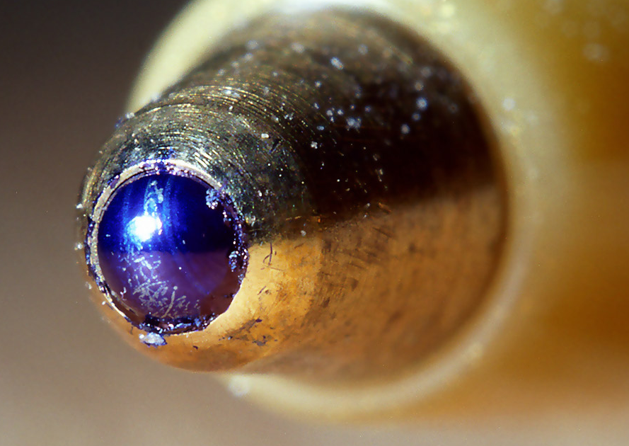 перья 5.png перья 5.png