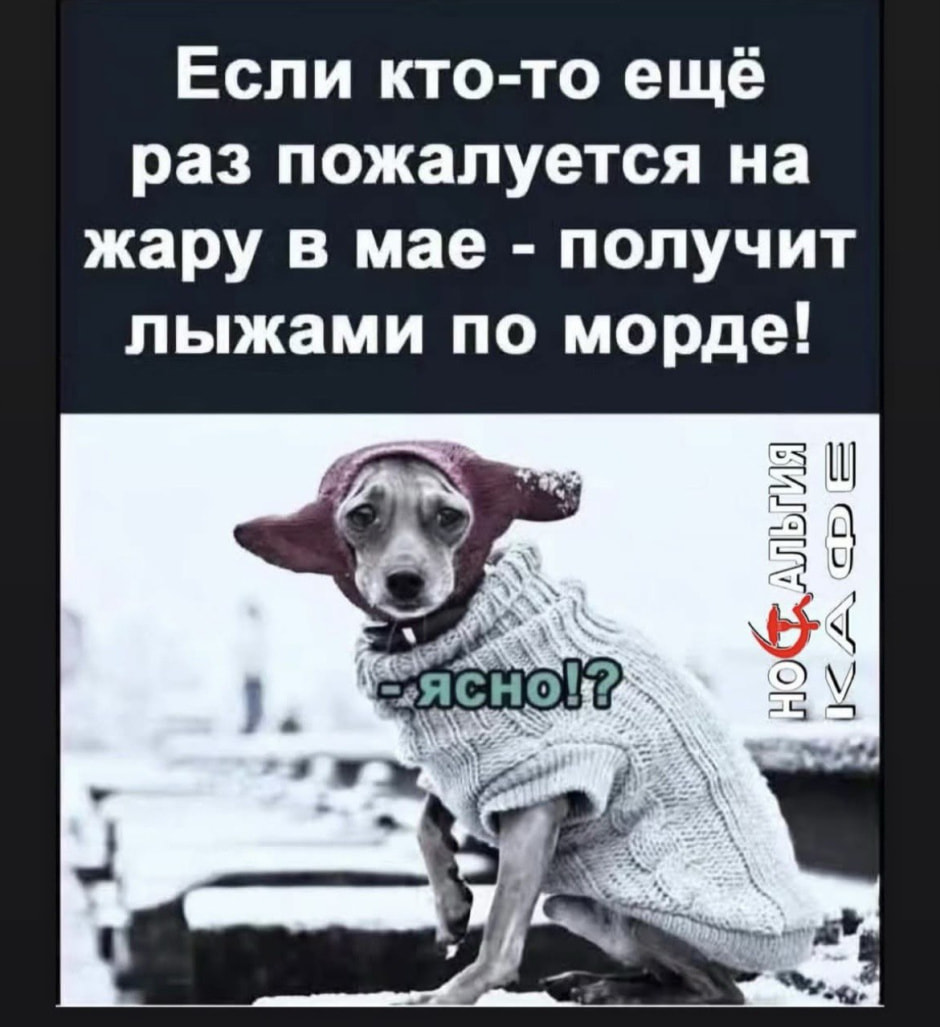 Мемы майские холода 