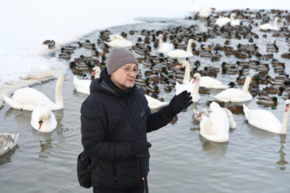 12-Анатолий Андреев и его лебеди-любимки.jpg
