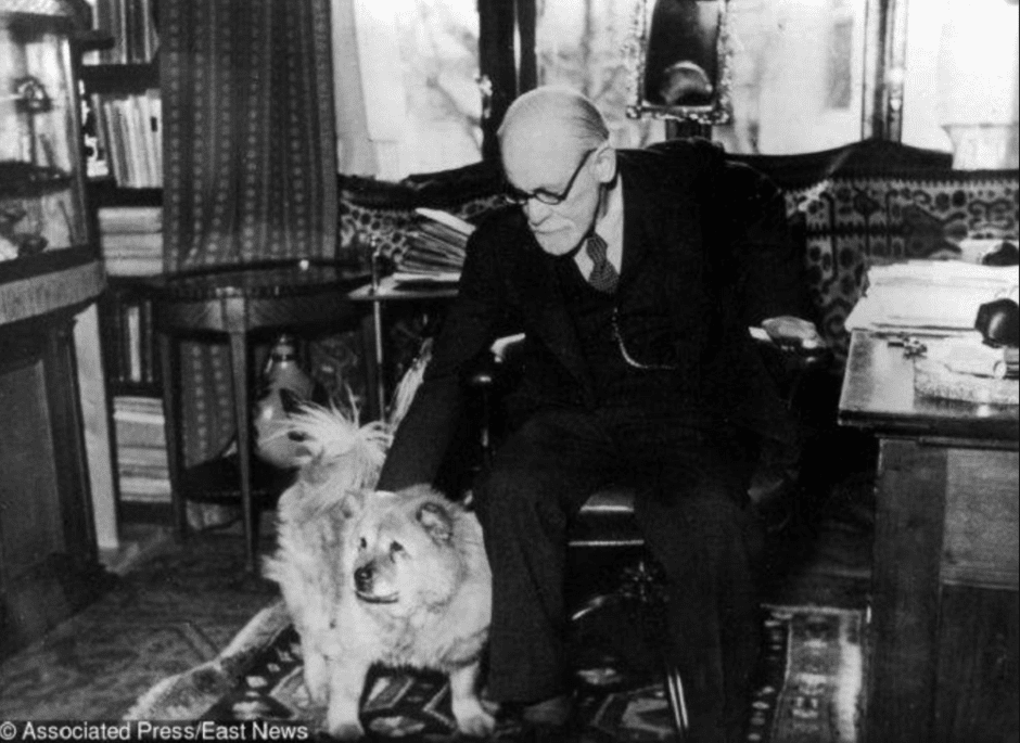 Зигмунд Фрейд и Джофи