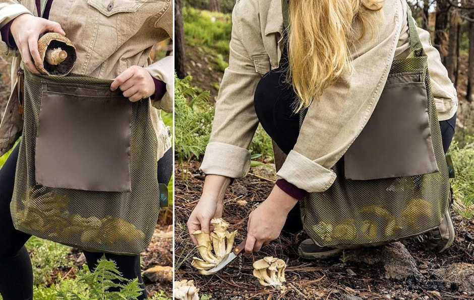 Как не отравиться съедобными грибами 3.jpg