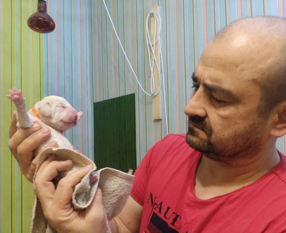 Домашние гады 2_Александр Очеретний.jpg