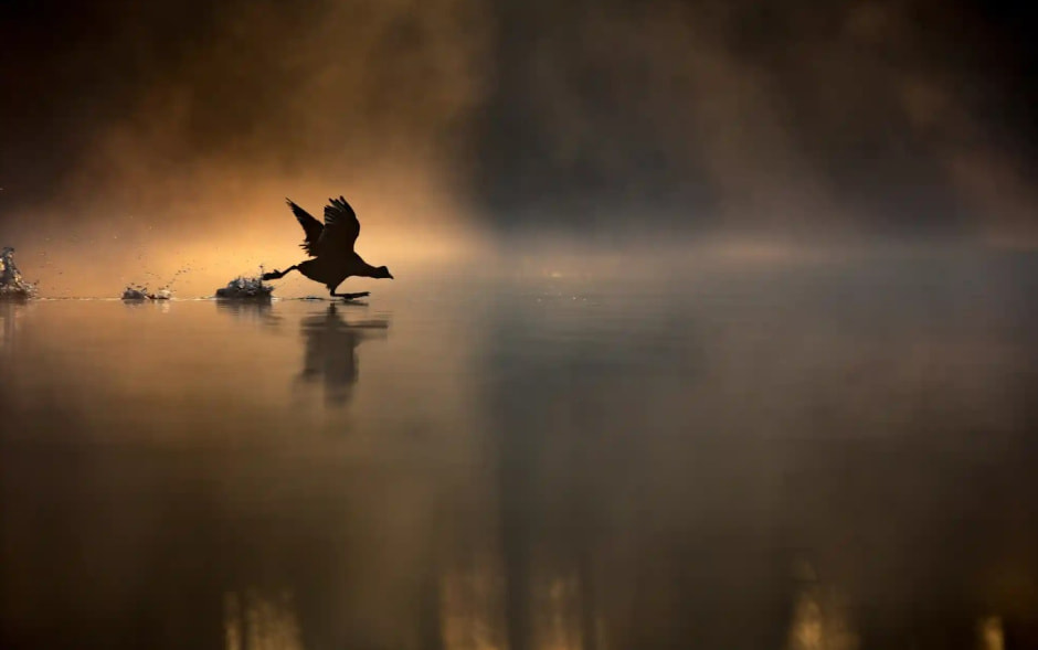 Фотоконкурс 1.jpg