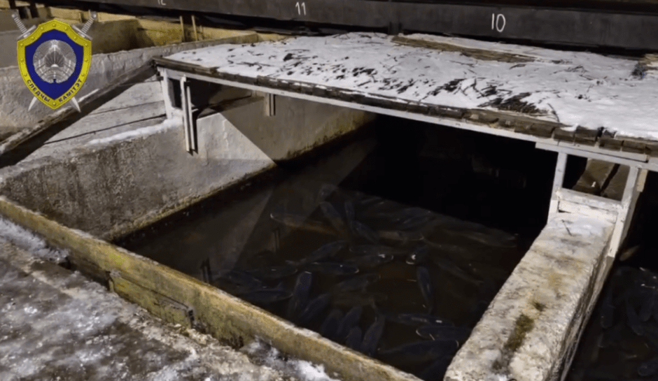 Сотрудник рыбхоза утонул на работе — совершал обход базы и поскользнулся.png