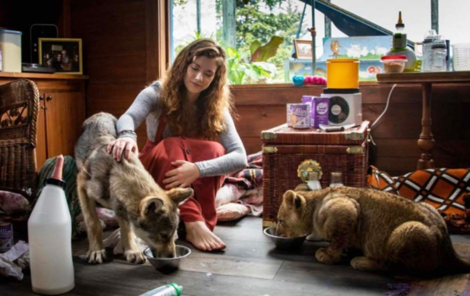 волк и лев.jpg