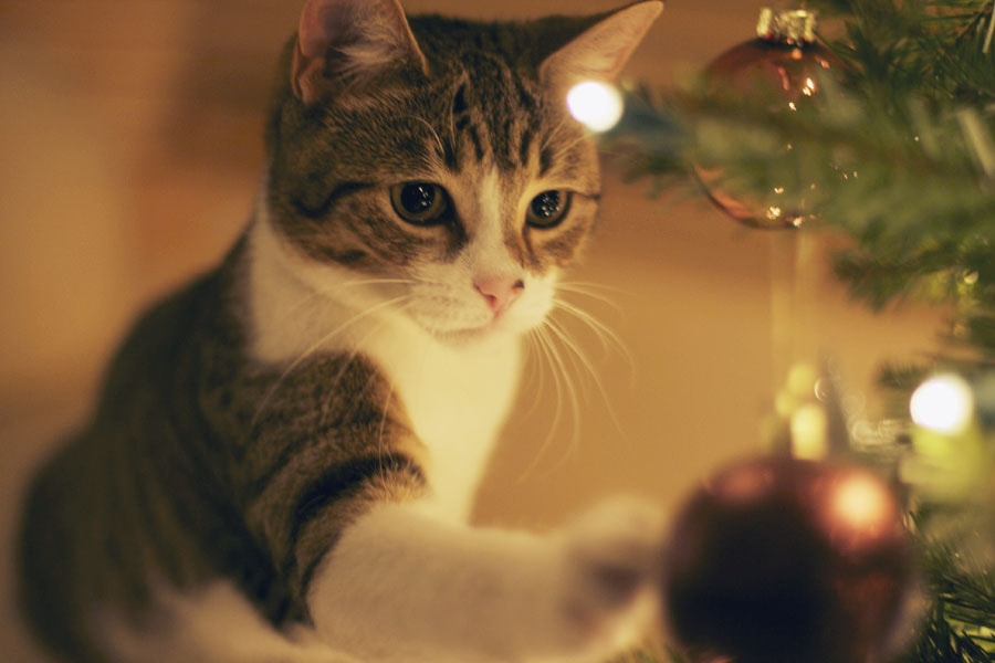 На обложку.jpg На обложку.jpg