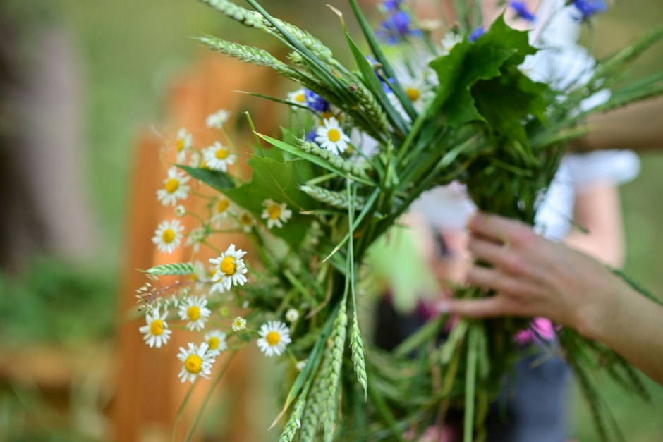 17-Купалле ў Дукорскім маёнтку.jpg