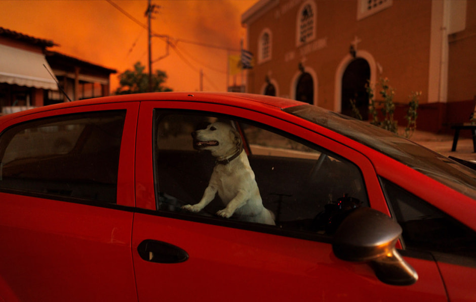 Греция. Пожары 2.jpg