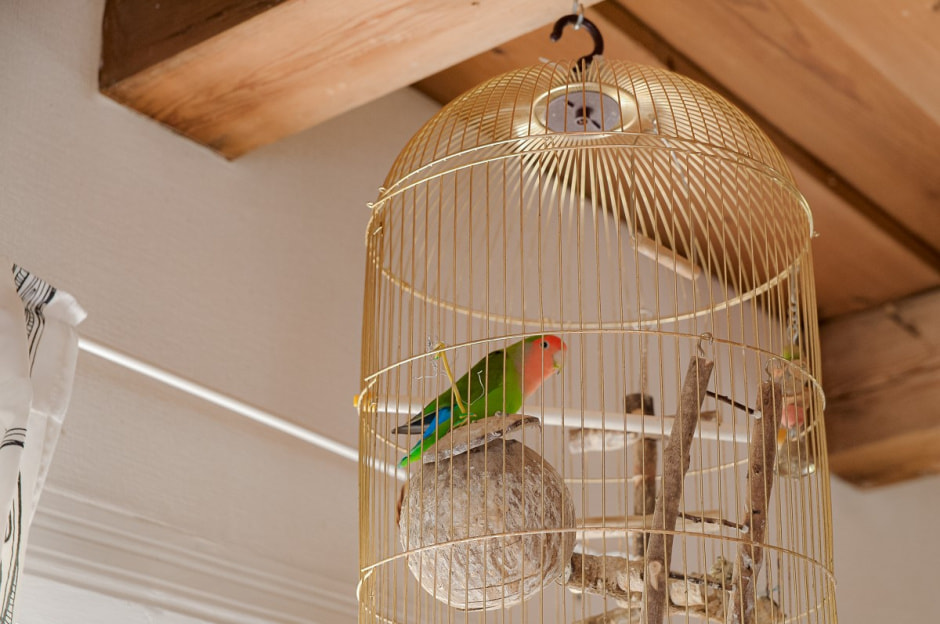 Репетитор в деревне 5.jpg