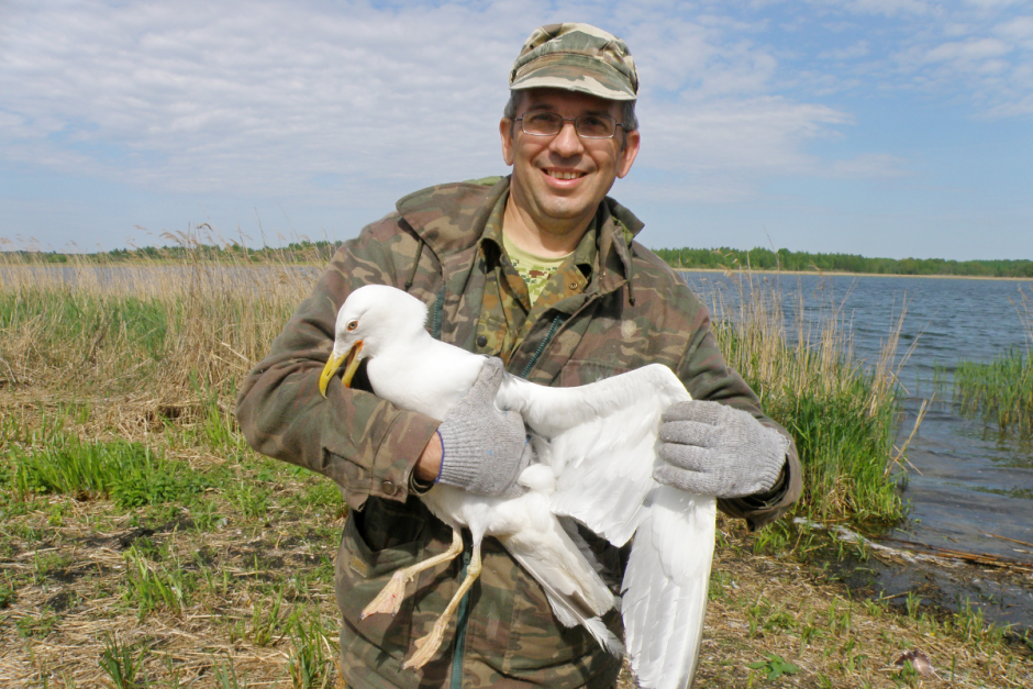 Щука 1_Виталий Кощеев.png