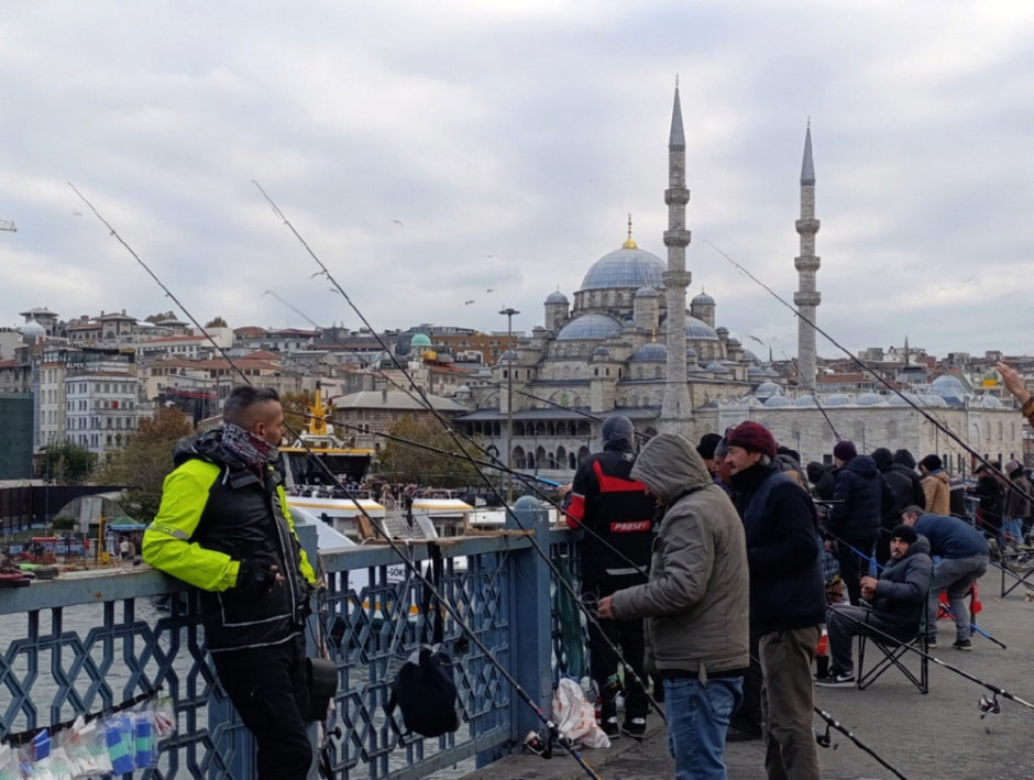 Гуляем по Стамбулу и знакомимся с котами 24.jpg